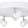 Alpha XL Takspotlight 5L