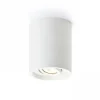 Coles Taklampa Gips GU10