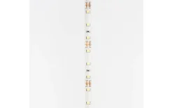 LEDstrip 12V 5m 4000K 12w/m IP54