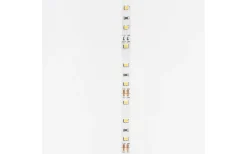 LEDstrip 12V 5m 4000K 12w/m IP20