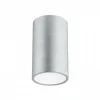 Mea Takspotlight Cylinder Borstad aluminium E27