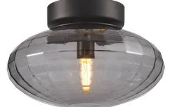 Mesh Plafond Ø20cm Svart/Smoke