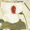 Omera Lampskärm Oval 23cm Botany Offwhite