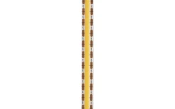 Orion LED-Strip 12V 5M 10W/m 4000K