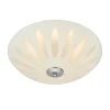 Petal Plafond 39cm Frost
