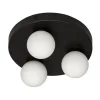Sandhamn Plafond Ø25cm Svart/Opal IP44