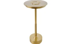 Svampen Laddbar Bordslampa 29cm CCT LED Mässing