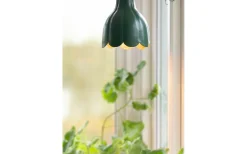 Tulippa Fönsterlampa Ø17cm Grön