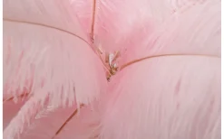 Yoga Golvlampa Palm 160cm Rosa/Guld