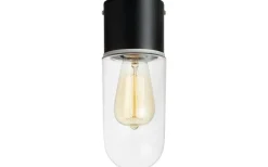 Zen Taklampa Badrum IP44 Svart/Klar
