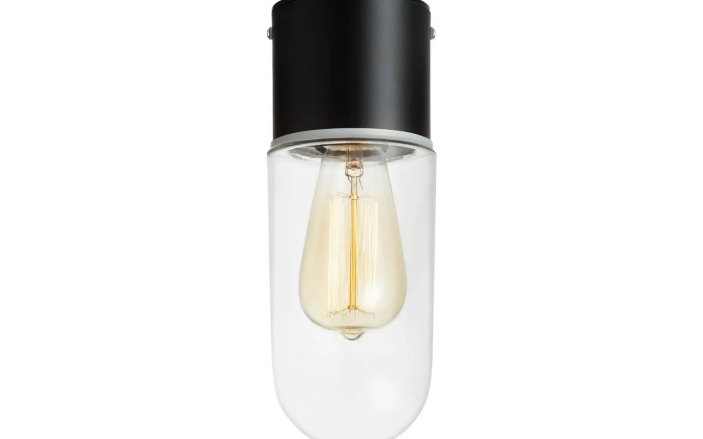 Zen Taklampa Badrum IP44 Svart/Klar