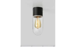Zen Taklampa Badrum IP44 Svart/Klar